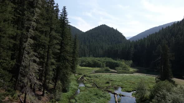 Passing between lush evergreen forest to reveal an unspoiled secluded mountain lake, aerial