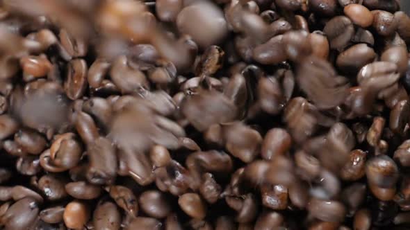 Beans of Coffee Raining in Slow Motion. Conceptual Clip of Coffee Beans, Close Up. Coffee Beans