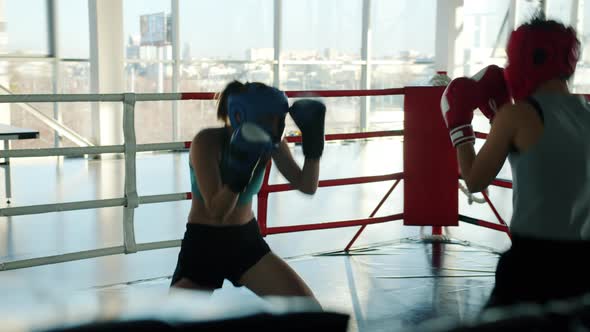 Active Young Ladies Working Out in Gym Enjoying Boxing Match Together