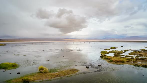 Panoramic View On Famous Laguna Colorada in Bolivia