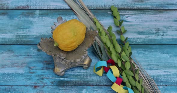 Jewish Holiday Sukkot Traditional Symbols Four Species Etrog Lulav Hadas Arava