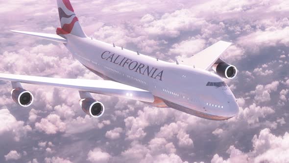 Plane Flight Travel To California City