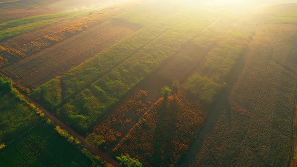 4K : Aerial view from a drone over a rural field at sunrise in Thailand.