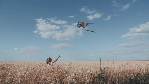 Pretty Girl Playing with Kite in Wheat Field on Summer Day. Childhood, Lifestyle Concept.