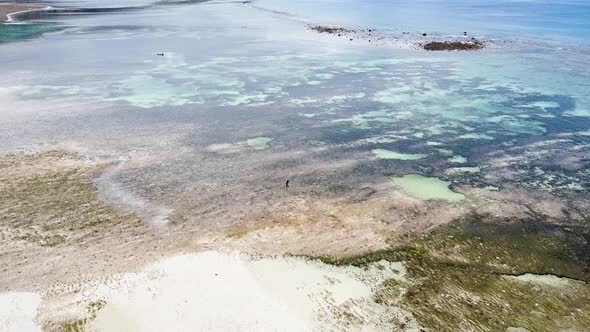 Static aerial drone of solo fishermen foraging for seafood at low tide with stunning coral reefs and