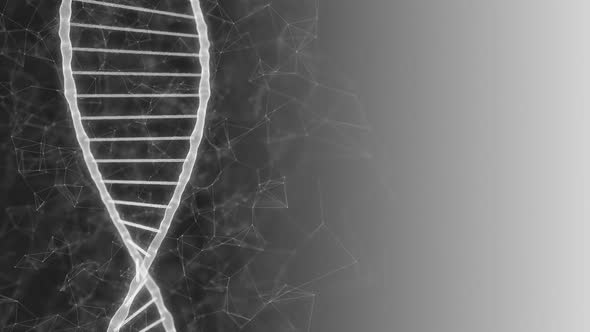 White Dna Strands and Genetic Spiral Rotating on Dark Grey Gradient Background
