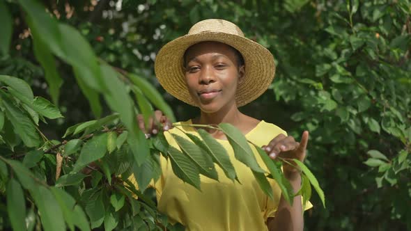 Front View Portrait of Happy African American Young Woman Standing in Sunshine in Green Summer