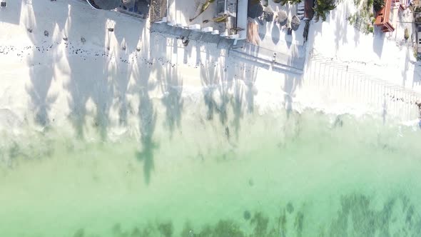 Zanzibar Tanzania  Vertical Video of the Ocean Near the Coast Slow Motion