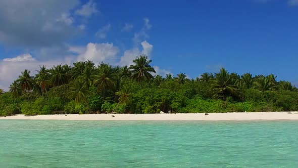 Sunny texture of lagoon beach wildlife by sea and sand background before sunset