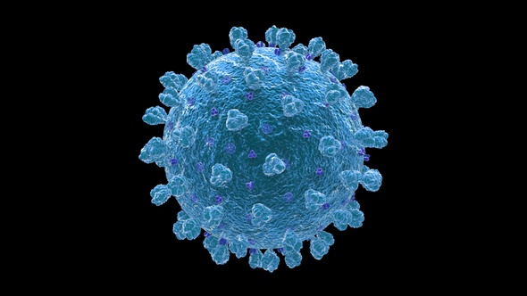 Coronavirus Covid 19 Cell V18