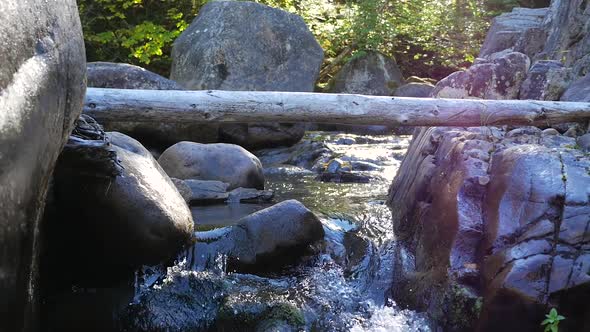 Small Water Rapids Flowing Through Many Rocks