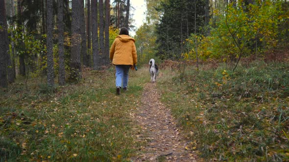 Walk through the woods with a dog