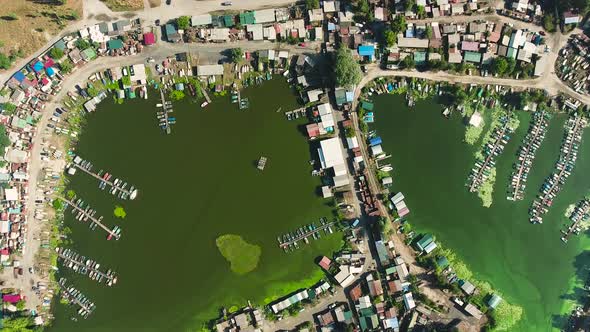 Aerial Top Down of Fishermen Settlement in Harbor with Green Algae in Water