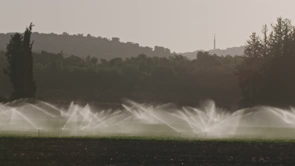 Slow motion of many impact sprinklers irrigating a field during sunset