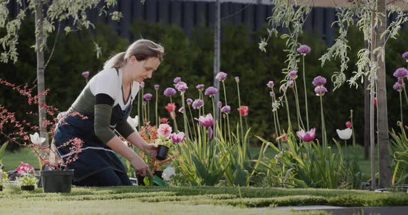 Middleaged Woman Planting Flowers in Her Garden