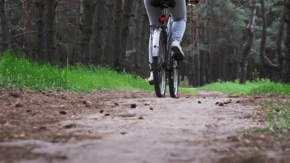 Young Woman on a Bicycle Rides Along a Forest Path in Summer Day Slow Motion