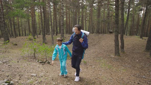 Two brothers walking in the forest. Hiking.