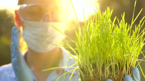 Woman Agronomist in Goggles and a Mask Examines a Sample of Soil and Plants