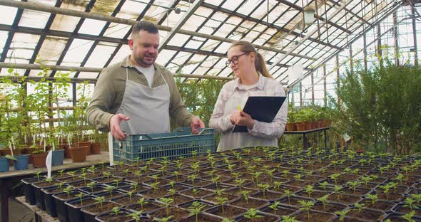 Couple of Greenhouse Workers on a Workplase