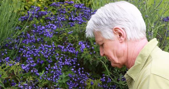 Senior man checking a flowers