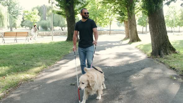 Young Blind Man with White Cane and Guide Dog Walking on Sidewalk in a Park