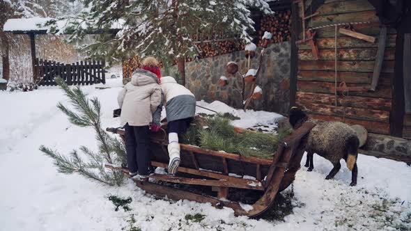 Cute little kids are sitting into big wooden sledge in winter