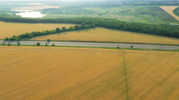 Aerial View Of Green Fields 28