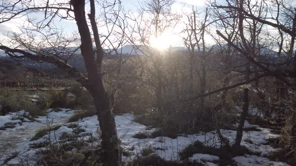 TRUCK LEFT Sun beams coming across winter trees on Tierra del fuego National Park