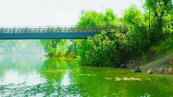 Scenic Lake in the Summer Park