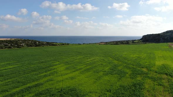 Camera Moves Forwards Along Green Meadow To Gorgeous Blue Mediterranean Sea Under Sunny Sky. Wide