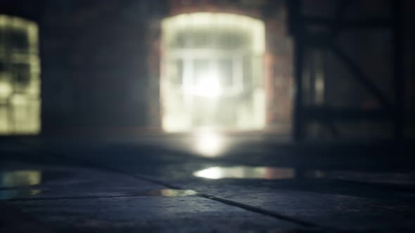 Ruins of a Very Heavily Polluted Industrial Factory alt