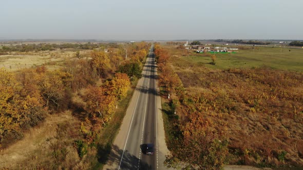 Aerial view of the asphalted road in autumn.