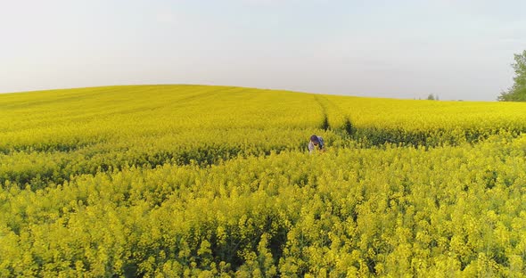 Farmer Using Digital Tablet on Rapeseed Field