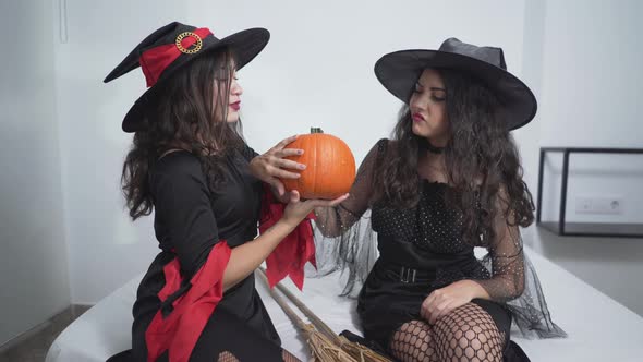Two Beautiful Women Wearing Black Witch Dress And Hat Holding A Pumpkin With Their Both Hands While