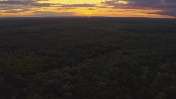 Aerial View Of Sunset Sky Above Green Forest Landscape In Sunny Evening