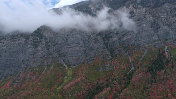 Aerial view of colorful foliage at the base of tall cliffs