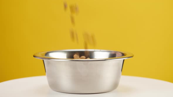 Pouring Dry Dog Food Into Metal Bowl Closeup