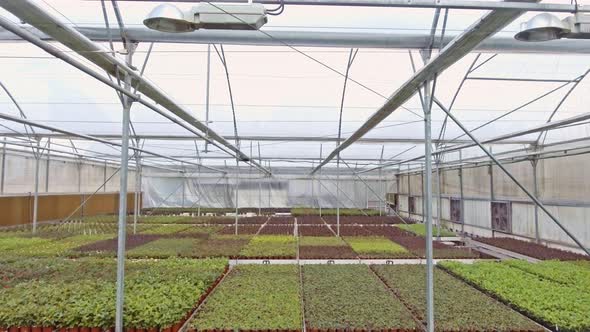 Aerial footage from inside a large greenhouse with flowers