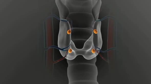 Parathyroid hormone