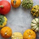From Above View of Various Kinds Cute Mini Pumpkins Placed in Circle with Space with Copy Space - VideoHive Item for Sale