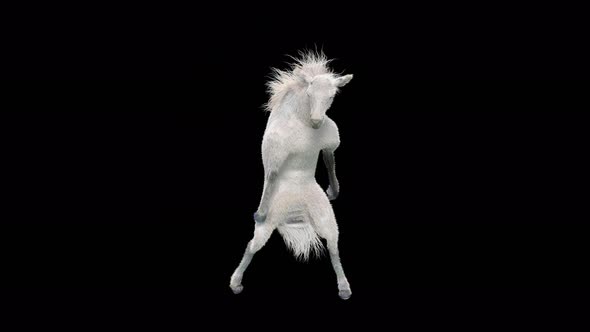 26 White Horse Dancing 4K