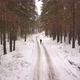 Jogging In The Winter Forest - VideoHive Item for Sale