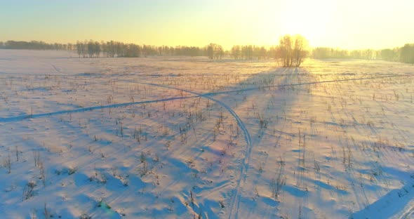 Aerial Drone View of Cold Winter Landscape with Arctic Field, Trees Covered with Frost Snow 