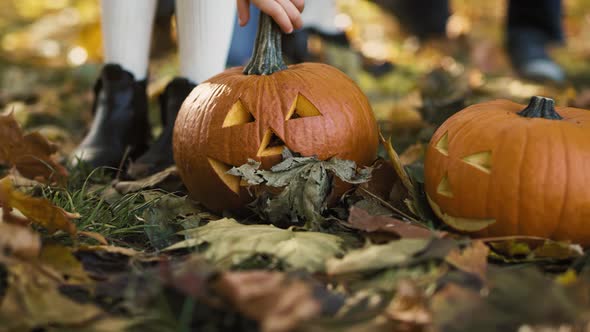 Pumpkins as the symbol of Halloween