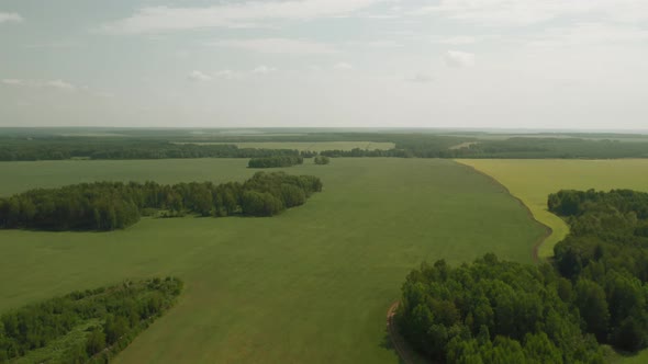 Green and yellow rural fields with blue sky in summer time in Ural