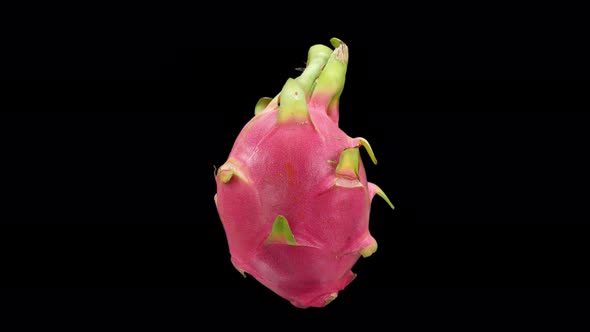 Realistic Dragon Fruit Rotating With Alpha Channel