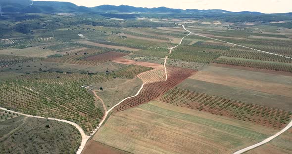 Aerial view of farming fields in Spain.