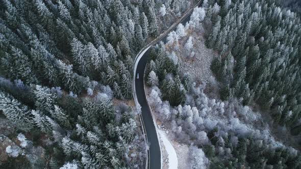 Curved Road with Car Driving Near White Snowy Trees Aerial. Foggy Mountain Forest with Ice Frost