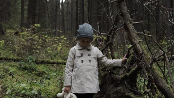 Little girl with teddy bear alone in a forest