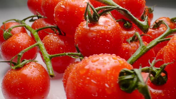 Beautiful Juicy Cherry Tomatoes on a Branch